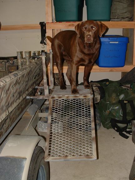 Homemade dog ladder on sale for duck boat